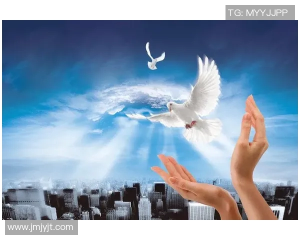 孙琳琳的成长之路：从平凡到卓越的奋斗故事与人生启示